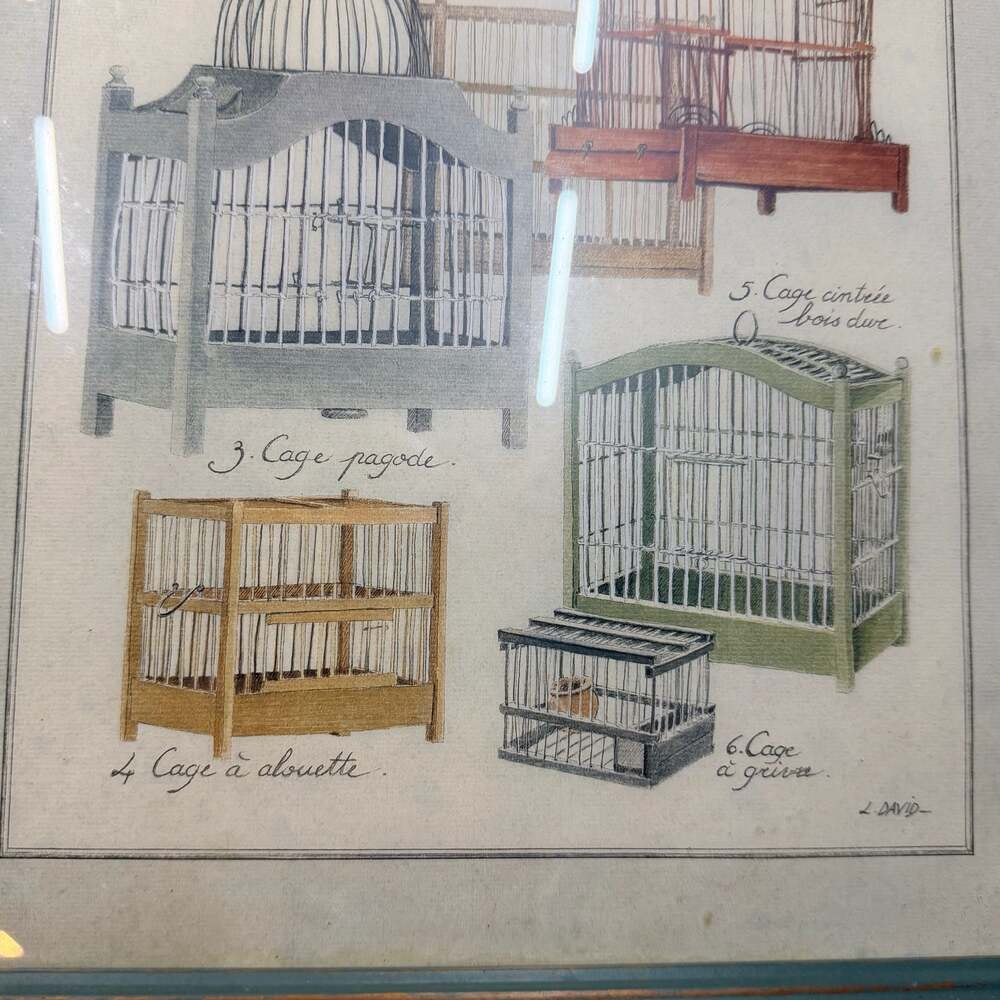 Vintage L. David French Bird Cage Botanical Prints, Distressed Green Frames (2) - Picture 10 of 10